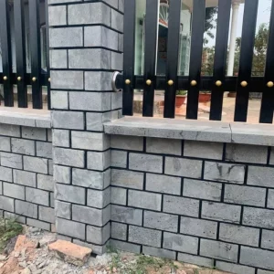 Đá tổ ong 10x20x1