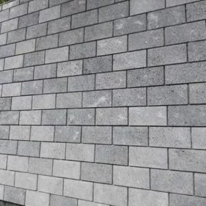 Đá tổ ong 15x30x2