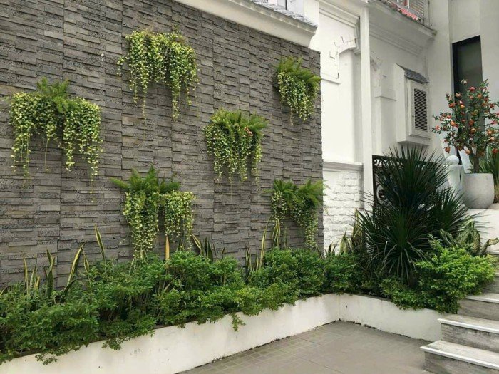 Đá núi lửa ghép 10*50