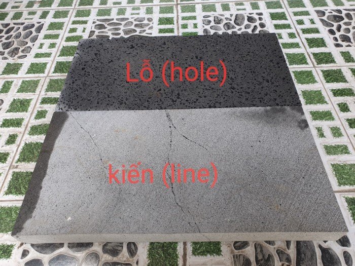 Đá tổ ong 300*600*50 mm